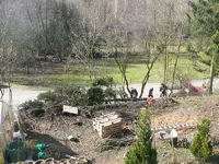 Baum liegt.webp