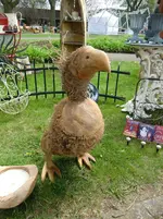CIMG1024.webp