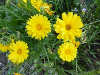 P1200119.webp