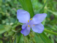 P1200056.webp