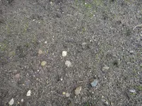 1 Saataufgang.webp