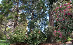 Copy of IMG_9478v.webp