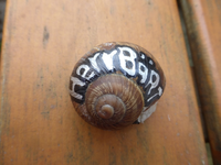 P1200140.webp