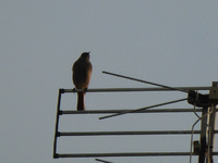 P1200148.webp