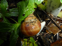 P1190919.webp