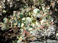 DSCN9460.webp