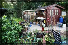 comp_DSC02246.webp