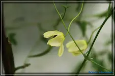 comp_DSC02264.webp