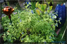 comp_DSC02253.webp