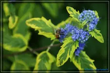 comp_DSC02256.webp