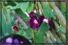 comp_DSC02251.webp