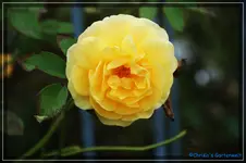 comp_DSC02255.webp