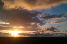01_IMAG2331.webp