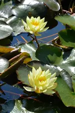 DSC_2565.webp