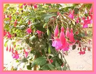 011.webp