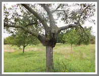 091.webp