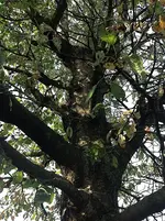 20140916_082910513_iOS.webp