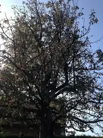 20140916_082947670_iOS.webp