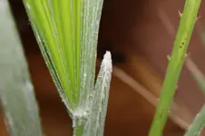 doch nicht das was ich denke an der Malpe 003.webp doch nicht das was ich denke an der Malpe 003.webp