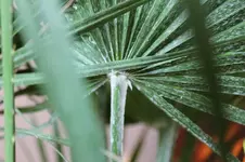 doch nicht das was ich denke an der Malpe 001.webp doch nicht das was ich denke an der Malpe 001.webp