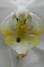 DSCN1502a.webp