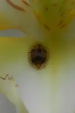 DSCN1502b.webp