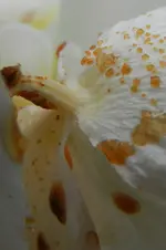 DSCN1509a.webp