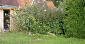 IMGP6882.webp