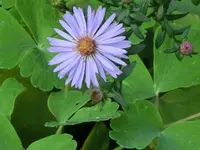 CIMG9120.webp