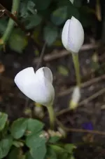 _DSC7188.webp