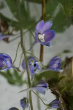 _DSC7219.webp