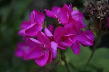 _DSC7222.webp