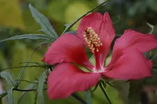 _DSC7182.webp