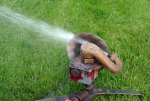 DOUBLE-ROTARY-SPRINKLER-6.jpg