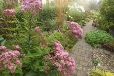 DSCF7873.webp