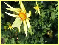 040.webp