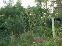 P1200328.webp
