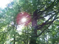 neu 128.webp