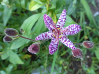 P1200319.webp