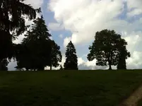 image.webp