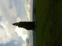 image.webp