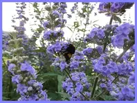 029.webp