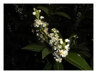 015.webp