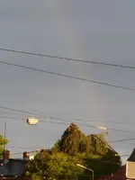 P1200443.webp