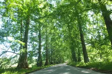 2014_0703sommer0061.webp