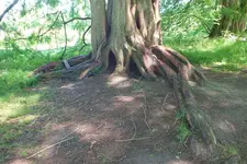 2014_0703sommer0063.webp