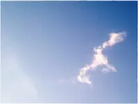 Wolkenvogel.webp