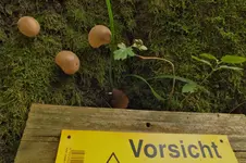 DSCF7899 (2).webp