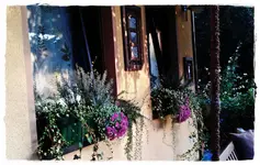 Blumenkästen an der Teichterrasse.webp