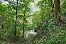DSCF7913 (2).webp